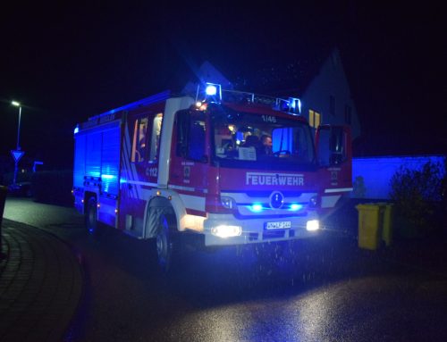 Einsatz 019/2026 – Warnmelder ohne konkrete Gefahr