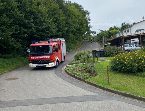 Einsatz 011/2025 – Baum-/ Sturmschaden