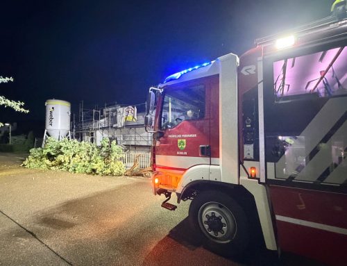 Einsatz 020/2026 H1 Sturmschaden