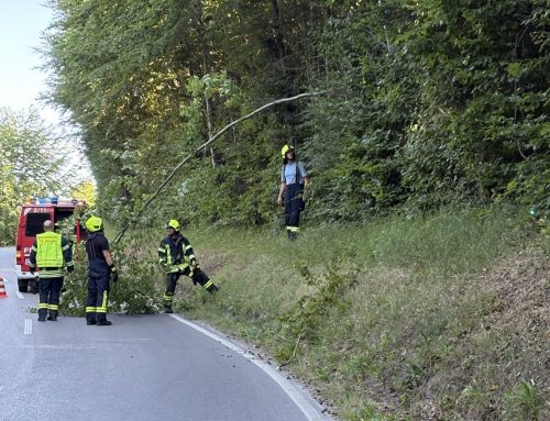 018/2026 Technische Hilfeleistung – tiefhängender Ast