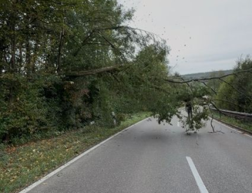 Einsatz 028/2026 – Baum auf Straße
