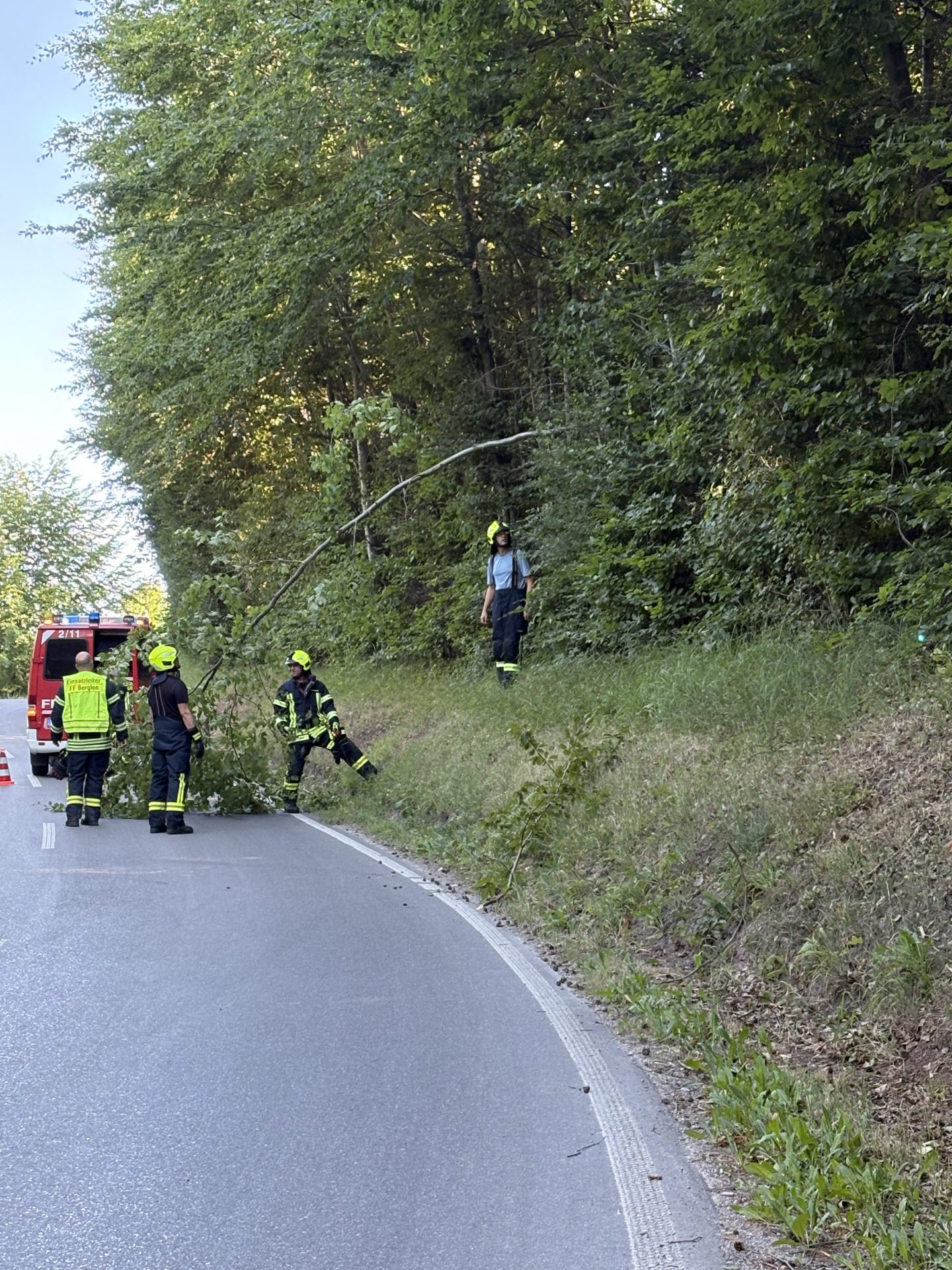018/2026 Technische Hilfeleistung – tiefhängender Ast