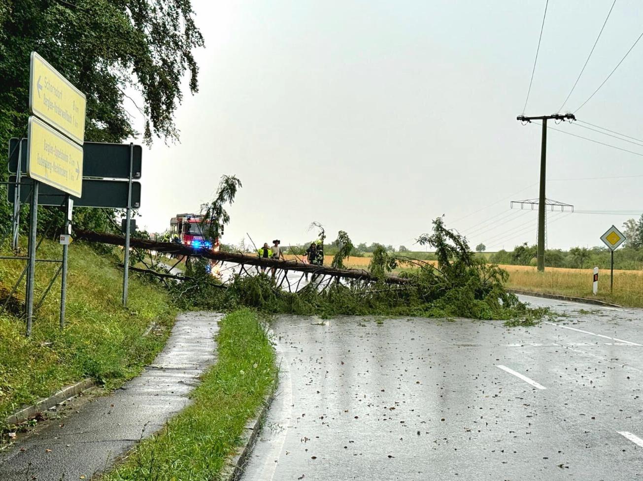 Einsatz 021/2026 – Baum auf Straße