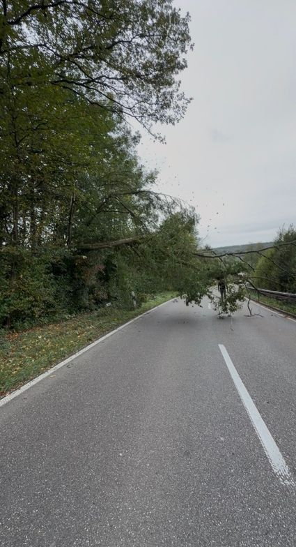 Einsatz 028/2026 – Baum auf Straße